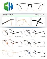 Оправа металлическая с мягким носоупором и флексом CH5017-DA