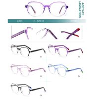 Plastic frames for glasses, acetate lamination with spring hinges Big City CL9024