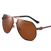 Polarized metal sunglasses with UV400 protection 2868-GT