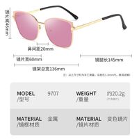 Photochromic glasses with blue light and UV protection 9707-GT