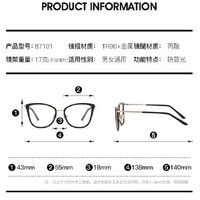 Оправа для очков комбинированная (металл + TR90) с защитой от синего света, с флексом FA87101