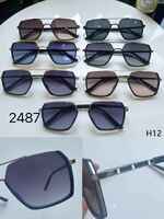 Polarized metal sunglasses H12 Matrix MT2487