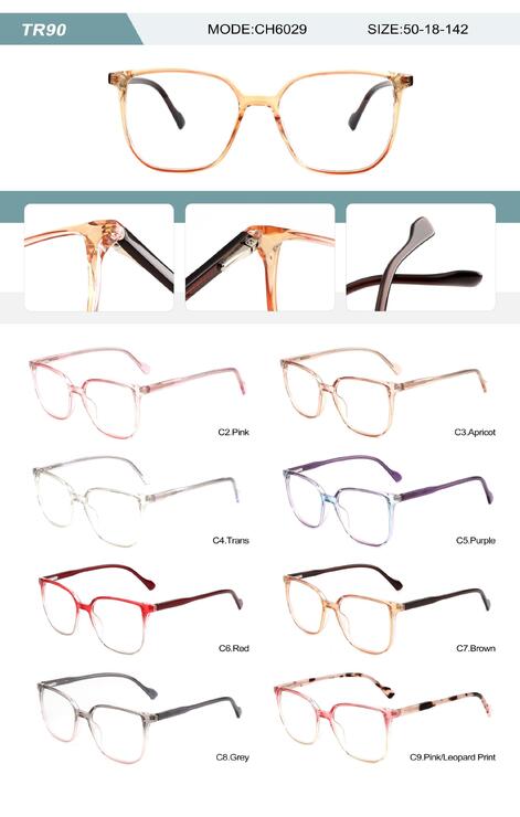 Plastic TR90 frame for women with spring hinges CH6029-2-DA