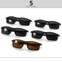 Plastic sunglasses for men Elit 2245-EL