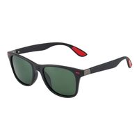 Polarized sunglasses W4195