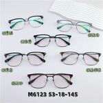 Оправа гибридная, титан + TR90 SANTA M6123