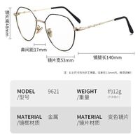 Очки металлические фотохромные с защитой от синего света 9621-GT