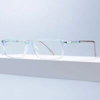 Combined TR90 + metal frame with anti-blue light protection lenses Elit TR1606-EL