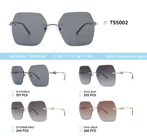 Titanium rimless frame polarized sunglasses TS5002