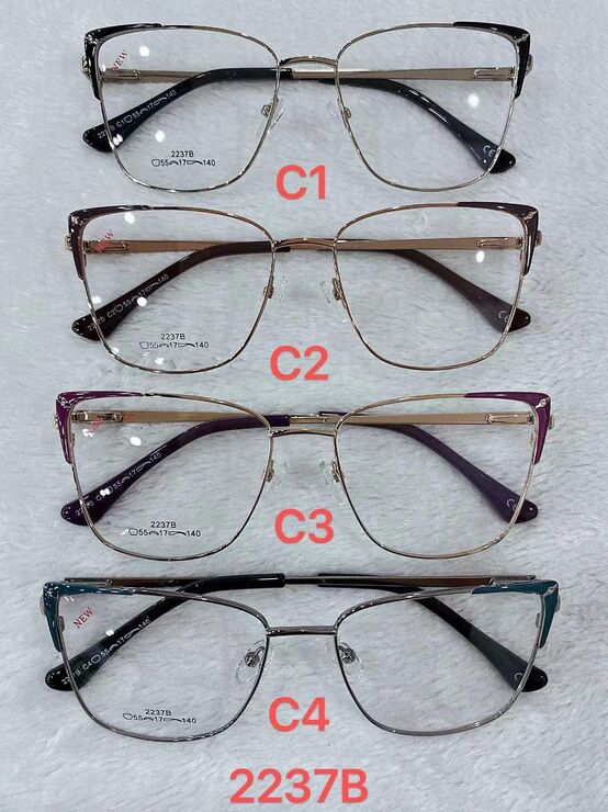 Metal frame for glasses with spring hinges 2237B