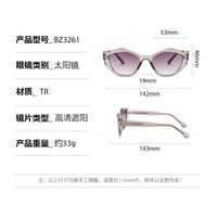 Plastic sunglasses for men Elit BZ3261-EL