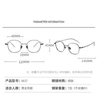 Оправа металлическая из чистого титана SANTA 纯钛S8817