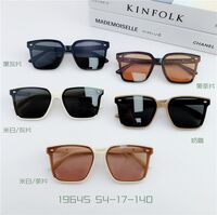 TR90 plastic sunglasses SANTA 19645S