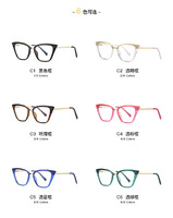 Оправа пластиковая, материал TR-90+CA (флекс!) FOCUS FCS2069