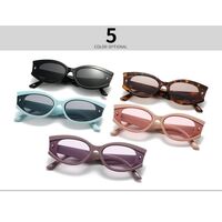 Plastic oval shaped sunglasses for women Elit 27145-EL