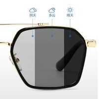 Polarized plastic photochromic glasses with blue light and UV protection 9720-2-GT