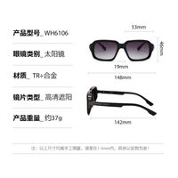 Plastic + metal retro square sunglasses for men Elit WH6106-EL