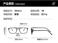 Combined TR90 + metal frame with anti-blue light protection lenses Elit TR1612-EL