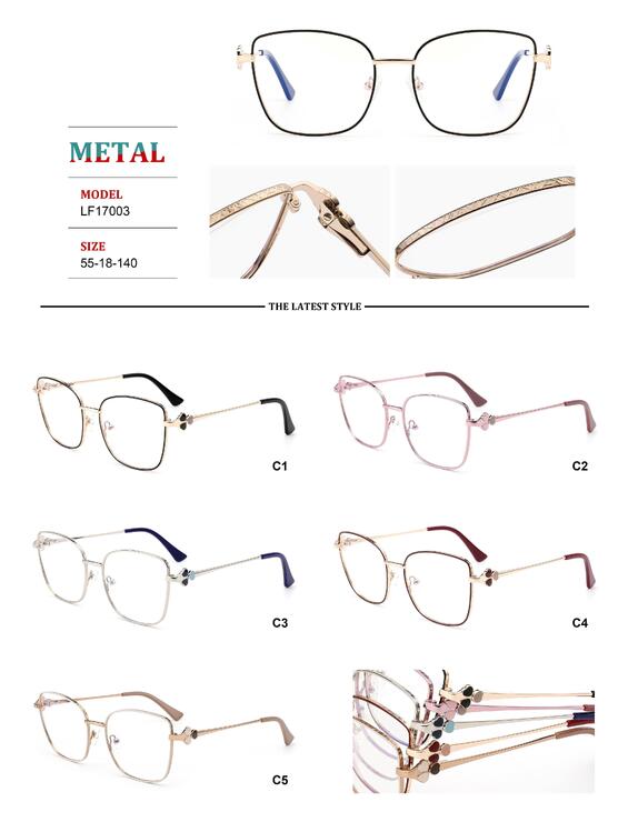 Metal frames for glasses with spring hinges for women Big City LF17003