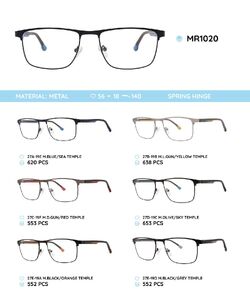 Металлическая оправа с дужками из материала TR-90 со встроенным флексом MR1020