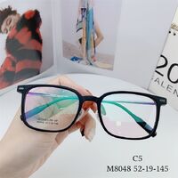 Hybrid frame, titanium alloy + TR90 SANTA M8048