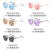 Photochromic glasses with blue light and UV protection 9656-2-GT