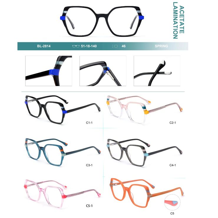 Plastic frames for glasses, acetate lamination with spring hinges Big City BL-2814