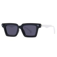 Plastic sunglasses Elit 2231-EL