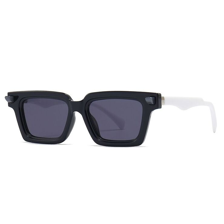 Plastic sunglasses Elit 2231-EL