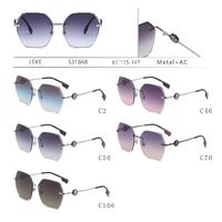 Rimless polarized metal sunglasses Leke S31848