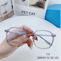 Hybrid frame, titanium alloy + TR90 SANTA M8043