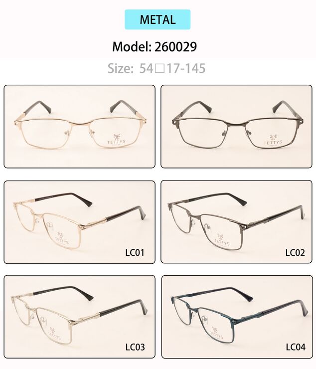 Metal eyeglasses frame for men with spring hinges 260029 (item in stock)