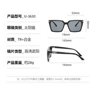 Plastic + metal square sunglasses for men Elit 3630-EL