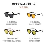 Plastic sunglasses with UV400 protection 5515-GT