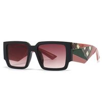 Plastic polarized sunglasses Elit 9141-EL