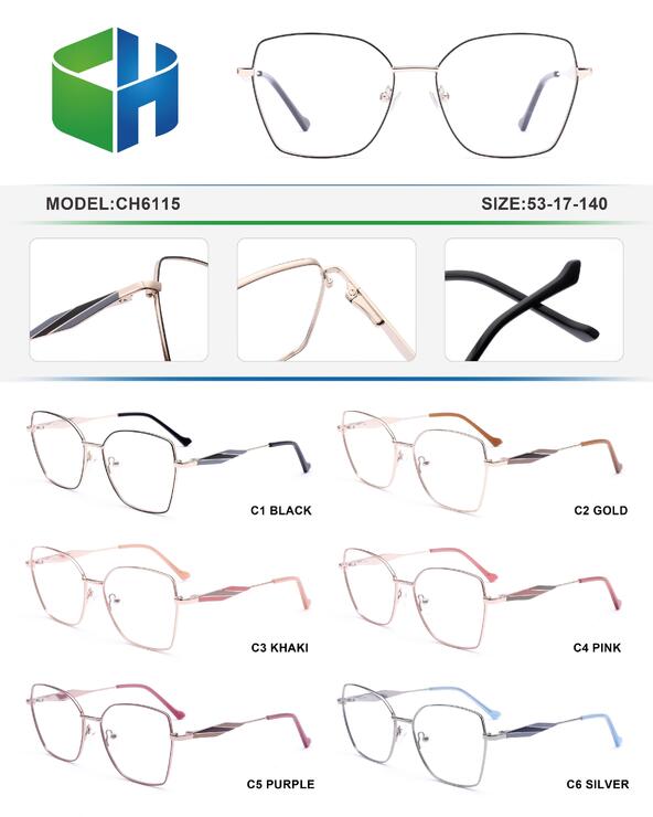 Оправа металлическая с флексом CH6115-DA