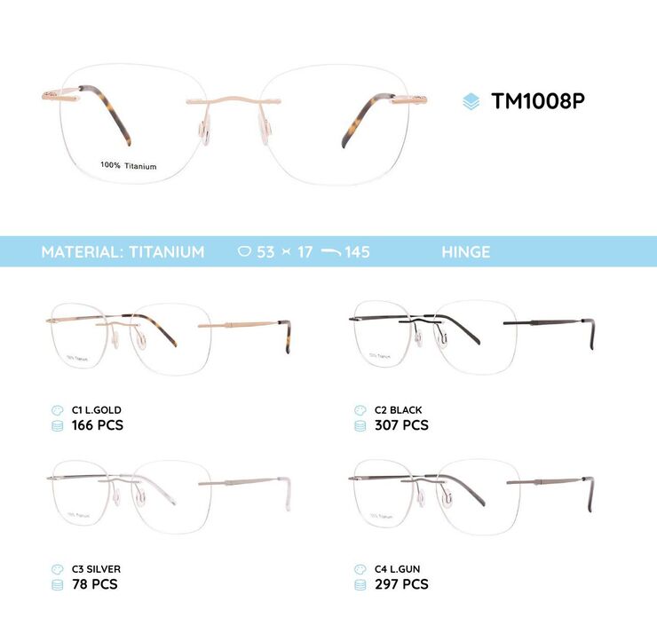 Titanium frames rimless TM1008P