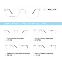 Titanium metal rimless frame TW3025P