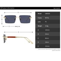 Metal rimless square retro sunglasses Elit 3030-EL