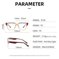 Plastic frame with anti-blue light protection lenses, with spring hinges Elit 5718-EL