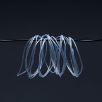 Silicone rubber seal, gasket to insert into lenses grooves GJ073, a pack of 100 pieces