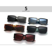 Plastic polarized sunglasses Elit 9141-EL