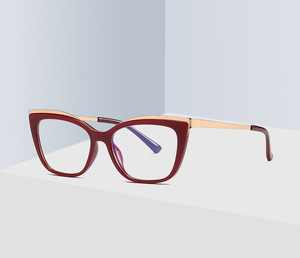 Plastic frames for glasses TR90+CA material (flex hinges) FOCUS FCS2049