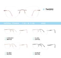 Titanium frames TW2012