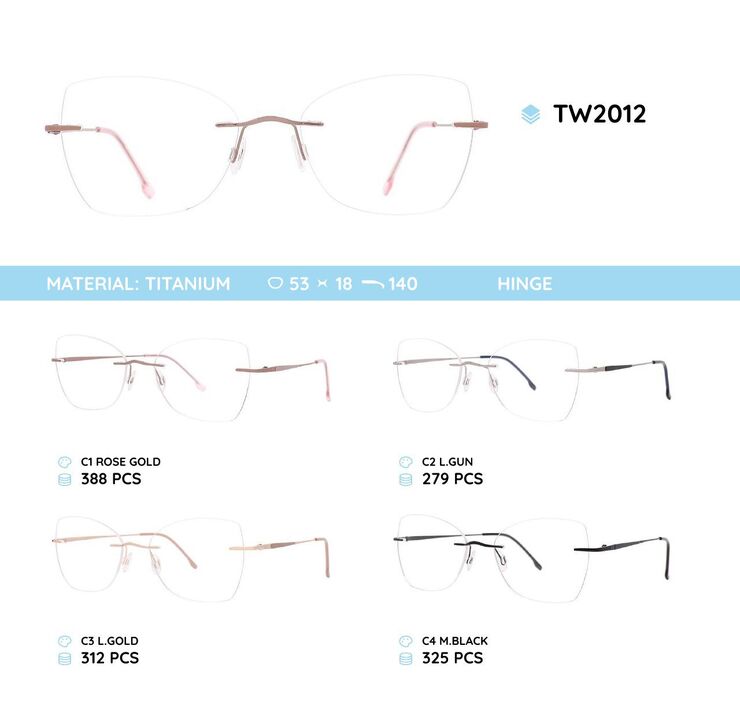 Titanium frames TW2012