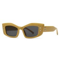 Plastic cat-eye sunglasses for women Elit 9183-EL