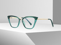 Оправа пластиковая, материал TR-90+CA (флекс!) FOCUS FCS2069