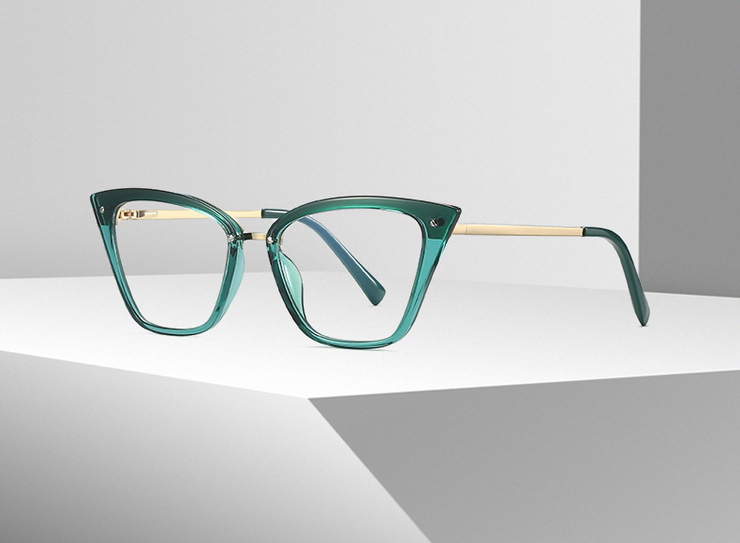 Оправа пластиковая, материал TR-90+CA (флекс!) FOCUS FCS2069