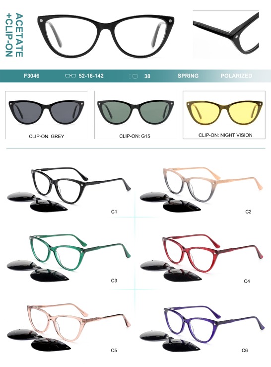 Plastic acetate frame with spring hinges + polarized clip-on Big City F3046S