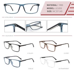 Plastic TR90 frame with spring hinges LE1053-DA